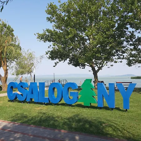 Σπίτι διακοπών Sunshine Vendeghaz *