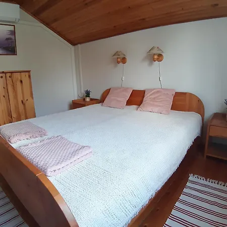 펜션 Sunshine Vendeghaz 발라톤페니베스