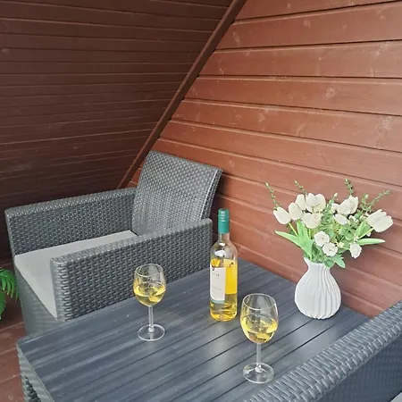 Sunshine Vendeghaz Holiday home *