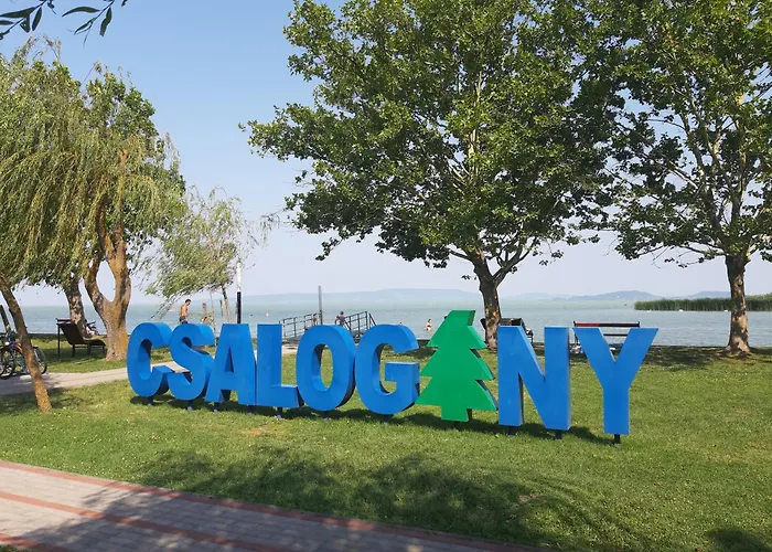 別荘 Sunshine Vendeghaz *