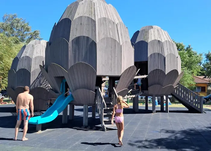 別荘 Sunshine Vendeghaz バラトンフェニヴェシュ